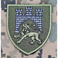 Нарукавний знак 125 окрема важка механізована бригада олива