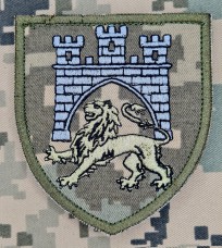 Нарукавний знак 125 ОВМБр піксель