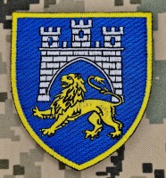 Нарукавний знак 125 ОВМБр