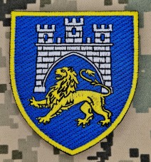 Нарукавний знак 125 ОВМБр