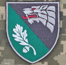 Нарукавний знак 144 Центр ССО