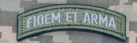 Нашивка девіз 160 ОМБР FIDEM ET ARMA - олива