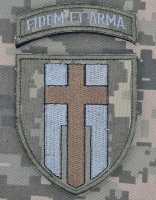 Шеврон 160 ОМБР FIDEM ET ARMA з дужкою Піксель