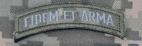 Нашивка девіз 160 ОМБР FIDEM ET ARMA піксель