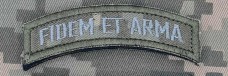 Купить Нашивка девіз 160 ОМБР FIDEM ET ARMA піксель в интернет-магазине Каптерка в Киеве и Украине