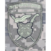 Нарукавний знак 17 Армійський корпус піксель