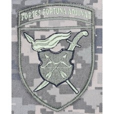 Нарукавний знак 17 Армійський корпус піксель