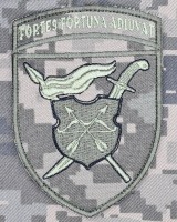 Нарукавний знак 17 Армійський корпус піксель
