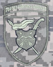 Купить Нарукавний знак 17 Армійський корпус піксель в интернет-магазине Каптерка в Киеве и Украине