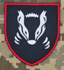 Шеврон 41 ОМБр