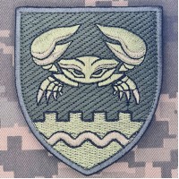 Нарукавний знак 34 ОБрБО олива