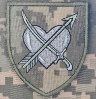 Нарукавний знак 39 ОБрБО піксель