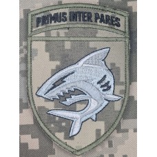 Нарукавний знак 40 ОБрБО з девізом Primus Inter Pares Піксель