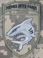 Нарукавний знак 40 ОБрБО з девізом Primus Inter Pares Піксель