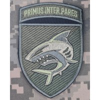 Нарукавний знак 40 ОБрБО з девізом Primus Inter Pares Олива