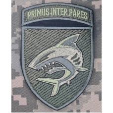 Нарукавний знак 40 ОБрБО з девізом Primus Inter Pares Олива