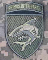 Нарукавний знак 40 ОБрБО з девізом Primus Inter Pares Олива