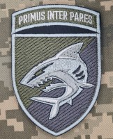 Нарукавний знак 40 ОБрБО з девізом Primus Inter Pares Польовий