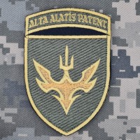 Шеврон 433 окремий зенітний кулеметний батальйон Alta Matis Patent