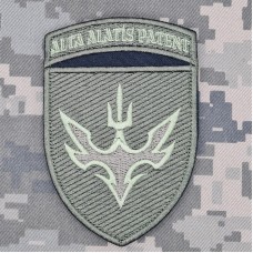Шеврон 433 ОЗКБ Alta Matis Patent олива (зашитий)