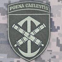 Шеврон 52 ОАБр Poena Caelestis олива