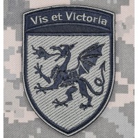 Шеврон 54 ОАБр олива