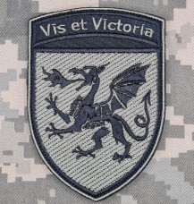 Шеврон 54 ОАБр олива