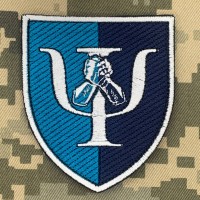 Шеврон 80 центр МПЗ МП ЗСУ