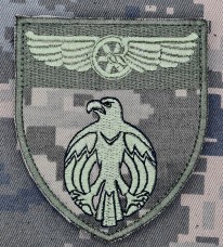 Шеврон 1 окремий батальйон охорони ДССТ піксель