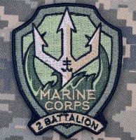 Нарукавний знак 2 батальйон 35 ОБрМП олива