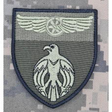 Шеврон 1 окремий батальйон охорони ДССТ олива