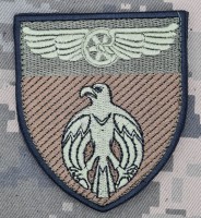 Шеврон 1 окремий батальйон охорони ДССТ польовий