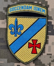 Нарукавний знак 54 ОРБ