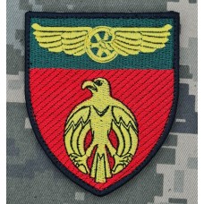 Шеврон 1 окремий батальйон охорони ДССТ 