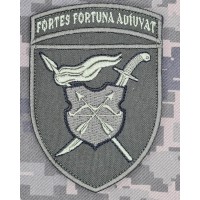 Нарукавний знак 17 Армійський корпус олива