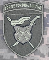 Нарукавний знак 17 Армійський корпус олива