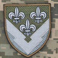 Шеврон ГУР олива