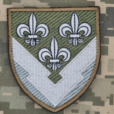 Шеврон ГУР олива