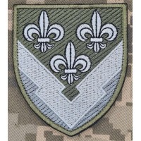 Шеврон ГУР олива