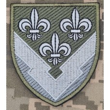 Шеврон ГУР олива