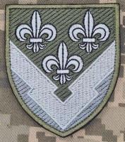 Шеврон ГУР олива