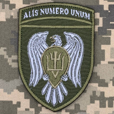 Нарукавний знак 15 окремої бригади транспортної авіації олива