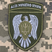 Нарукавний знак 15 окремої бригади транспортної авіації олива