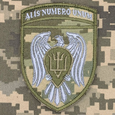 Нарукавний знак 15 окремої бригади транспортної авіації піксель