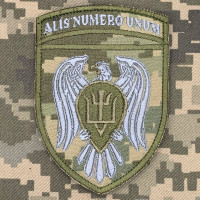 Нарукавний знак 15 окремої бригади транспортної авіації піксель