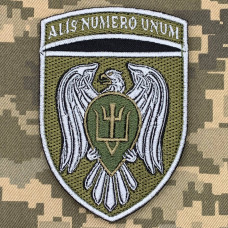 Нарукавний знак 15 окремої бригади транспортної авіації польовий