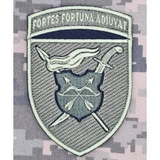 Нарукавний знак 17 Армійський корпус польовий