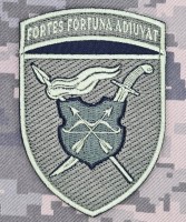 Нарукавний знак 17 Армійський корпус польовий