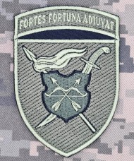 Купить Нарукавний знак 17 Армійський корпус польовий в интернет-магазине Каптерка в Киеве и Украине