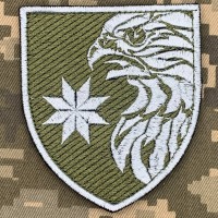 Нарукавний знак 36 окрема ескадрилья безпілотної авіації 383 ОБр БПАК олива